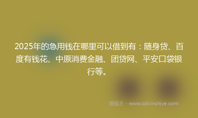 2025年的急用钱在哪里可以借到有：随身贷、百度有钱花、中原消费金融、团贷网、平安口袋银行等。