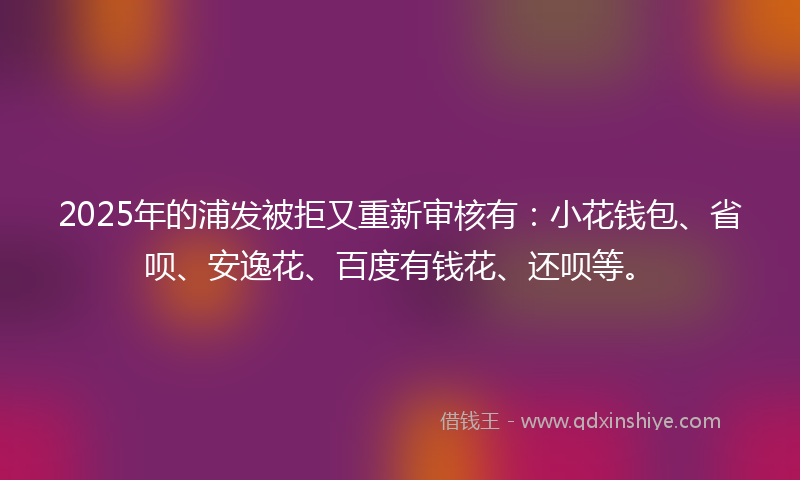 2025年的浦发被拒又重新审核有：小花钱包、省呗、安逸花、百度有钱花、还呗等。