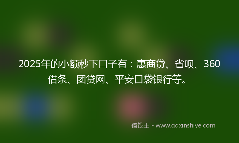 2025年的小额秒下口子有：惠商贷、省呗、360借条、团贷网、平安口袋银行等。