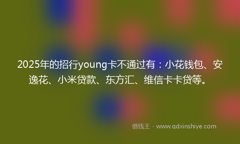 2025年的招行young卡不通过有：小花钱包、安逸花、小米贷款、东方汇、维信卡卡贷等。
