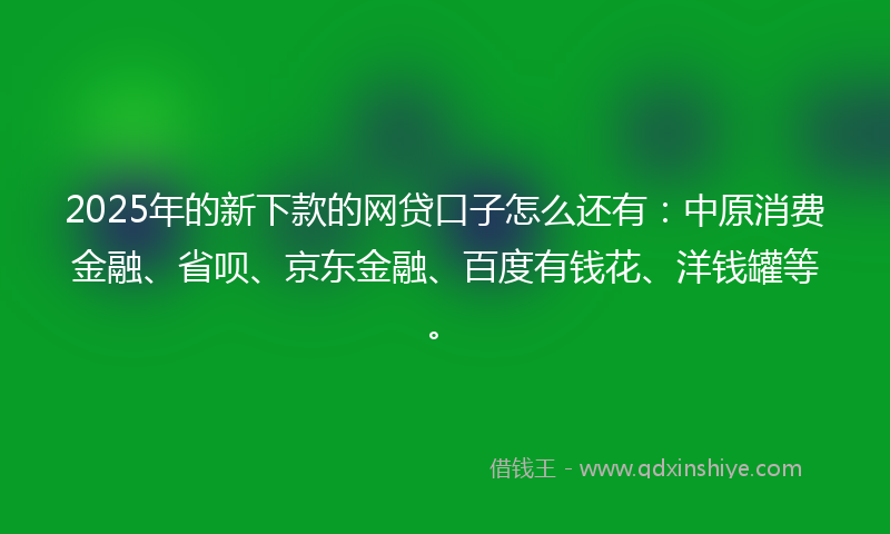2025年的新下款的网贷口子怎么还有：中原消费金融、省呗、京东金融、百度有钱花、洋钱罐等。