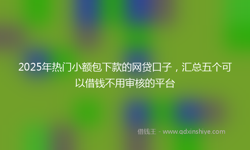 2025年热门小额包下款的网贷口子，汇总五个可以借钱不用审核的平台