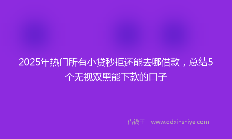 2025年热门所有小贷秒拒还能去哪借款，总结5个无视双黑能下款的口子