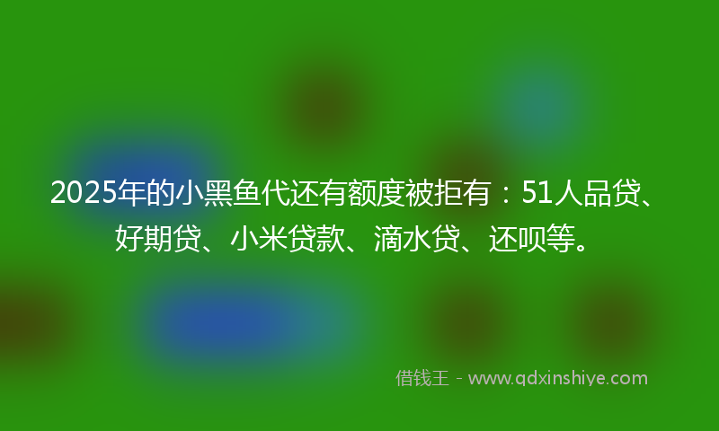 2025年的小黑鱼代还有额度被拒有：51人品贷、好期贷、小米贷款、滴水贷、还呗等。