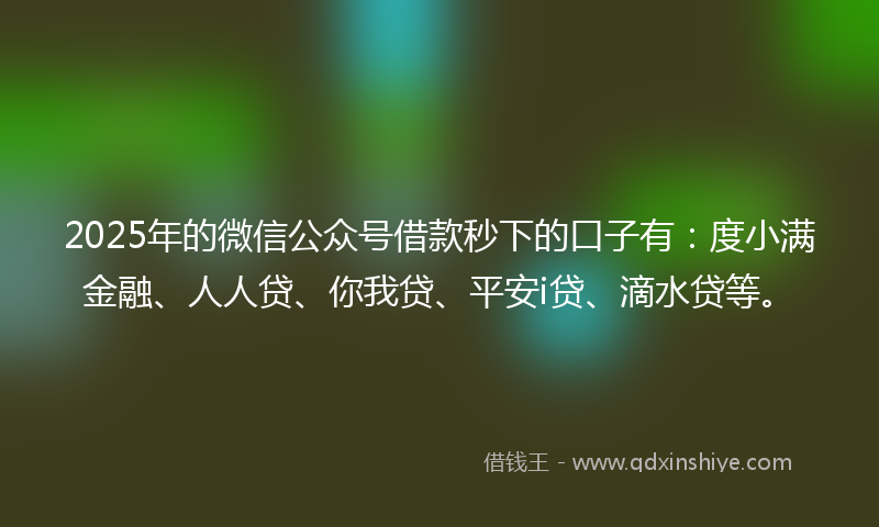 2025年的微信公众号借款秒下的口子有：度小满金融、人人贷、你我贷、平安i贷、滴水贷等。