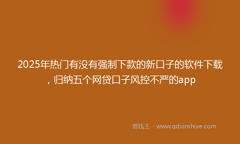 2025年热门有没有强制下款的新口子的软件下载，归纳五个网贷口子风控不严的app