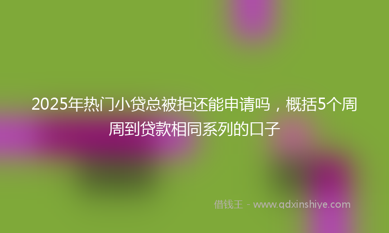 2025年热门小贷总被拒还能申请吗，概括5个周周到贷款相同系列的口子