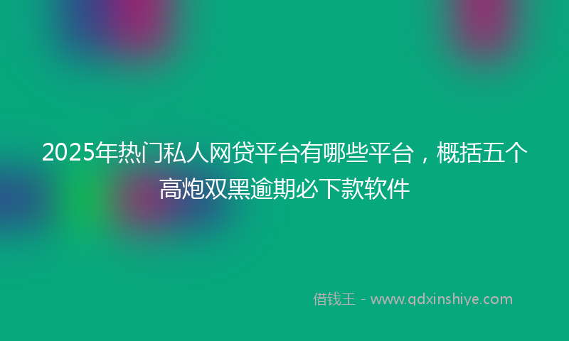 2025年热门私人网贷平台有哪些平台，概括五个高炮双黑逾期必下款软件