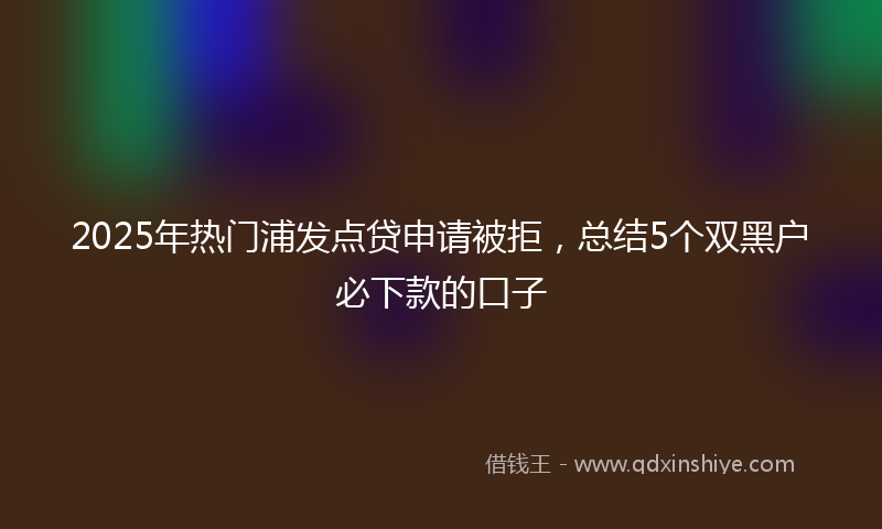 2025年热门浦发点贷申请被拒，总结5个双黑户必下款的口子