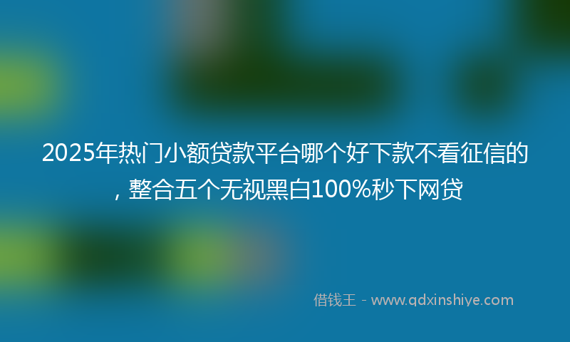2025年热门小额贷款平台哪个好下款不看征信的，整合五个无视黑白100%秒下网贷