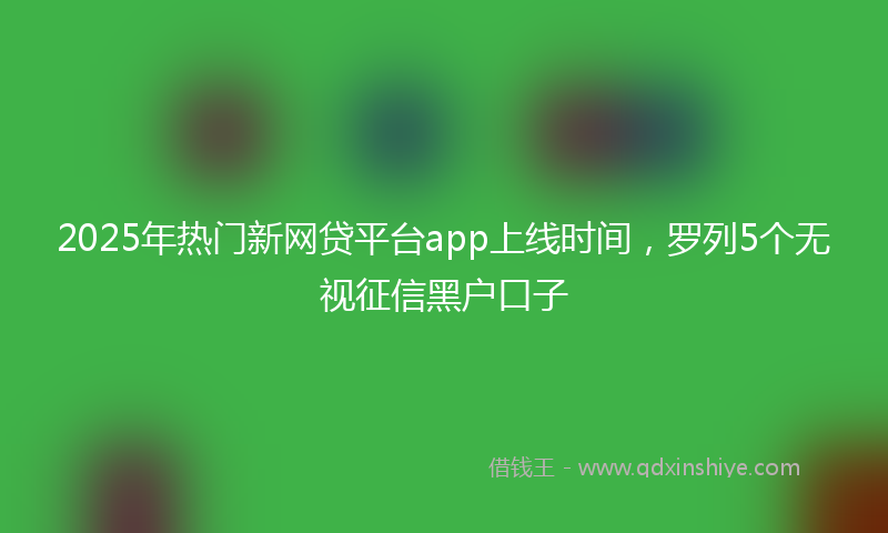 2025年热门新网贷平台app上线时间，罗列5个无视征信黑户口子