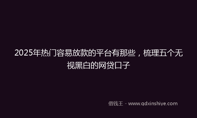 2025年热门容易放款的平台有那些，梳理五个无视黑白的网贷口子