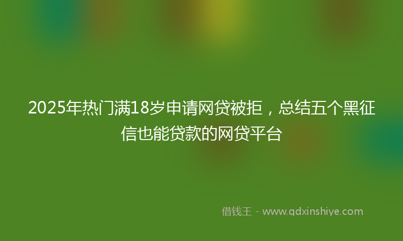 2025年热门满18岁申请网贷被拒，总结五个黑征信也能贷款的网贷平台