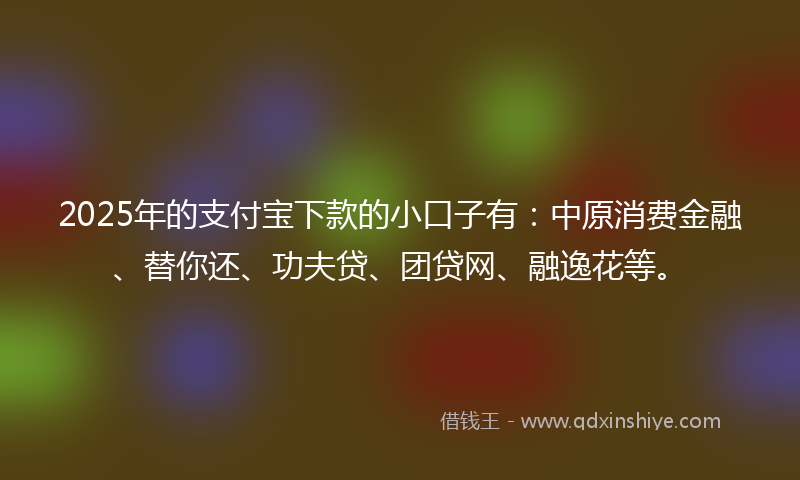 2025年的支付宝下款的小口子有：中原消费金融、替你还、功夫贷、团贷网、融逸花等。