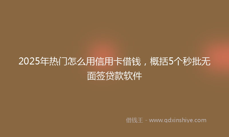 2025年热门怎么用信用卡借钱，概括5个秒批无面签贷款软件