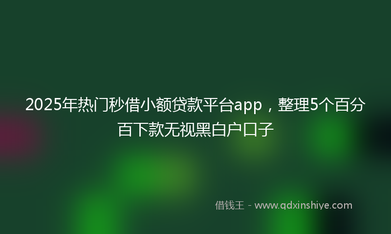 2025年热门秒借小额贷款平台app，整理5个百分百下款无视黑白户口子