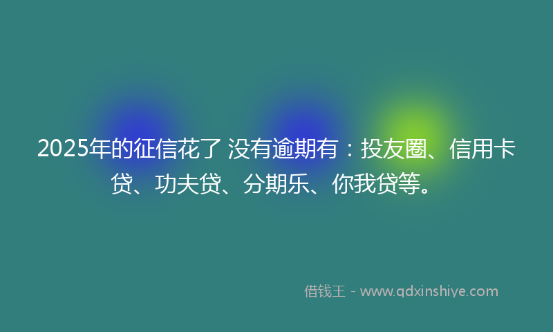 2025年的征信花了 没有逾期有：投友圈、信用卡贷、功夫贷、分期乐、你我贷等。