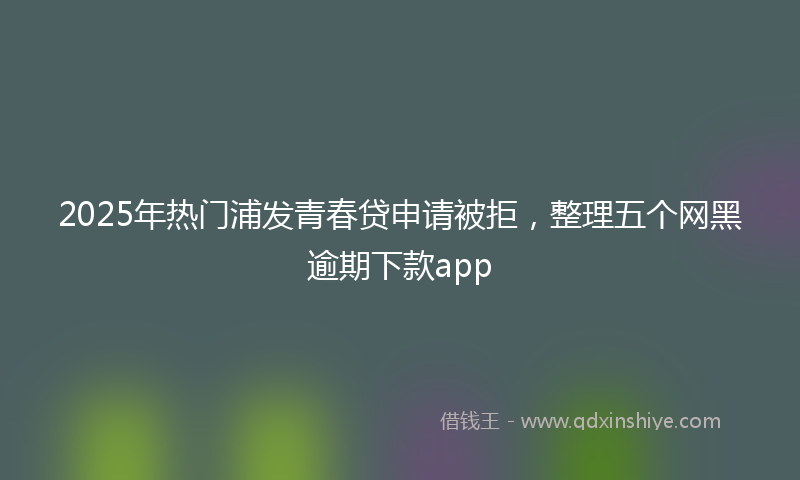 2025年热门浦发青春贷申请被拒，整理五个网黑逾期下款app