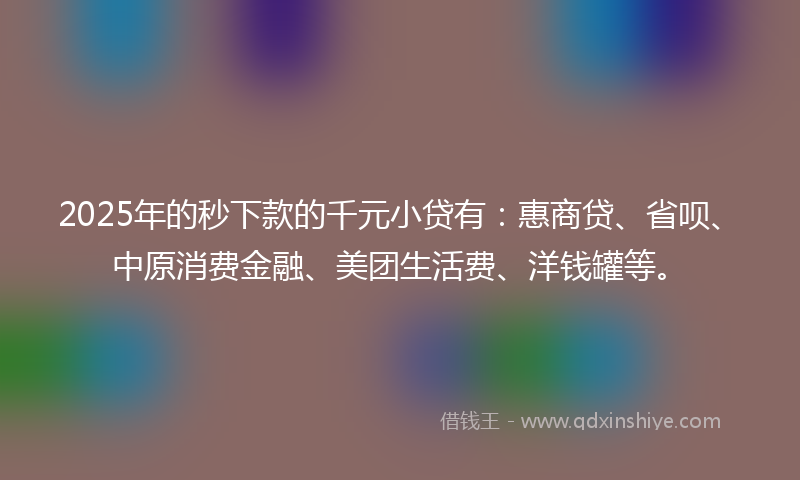 2025年的秒下款的千元小贷有：惠商贷、省呗、中原消费金融、美团生活费、洋钱罐等。