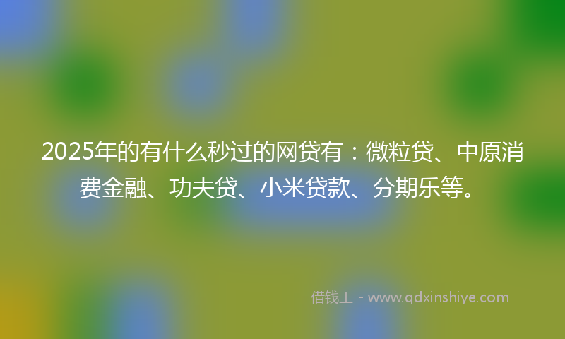 2025年的有什么秒过的网贷有：微粒贷、中原消费金融、功夫贷、小米贷款、分期乐等。