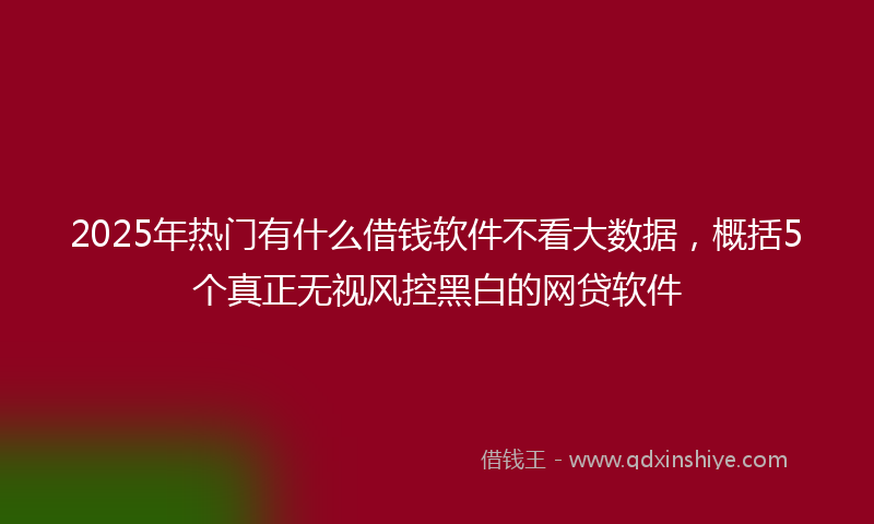 2025年热门有什么借钱软件不看大数据，概括5个真正无视风控黑白的网贷软件