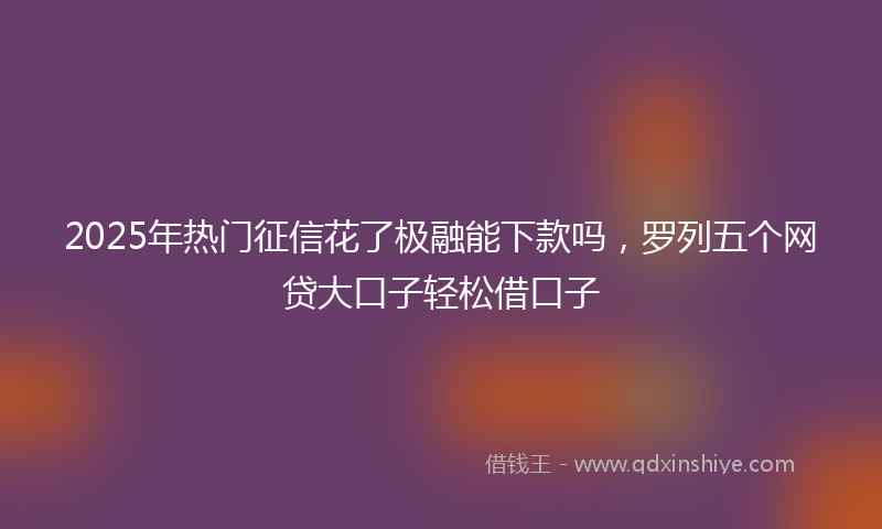 2025年热门征信花了极融能下款吗，罗列五个网贷大口子轻松借口子