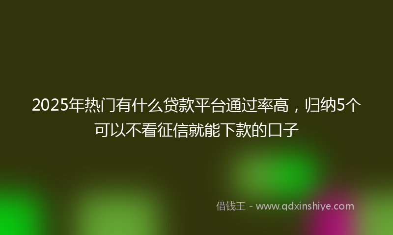 2025年热门有什么贷款平台通过率高，归纳5个可以不看征信就能下款的口子