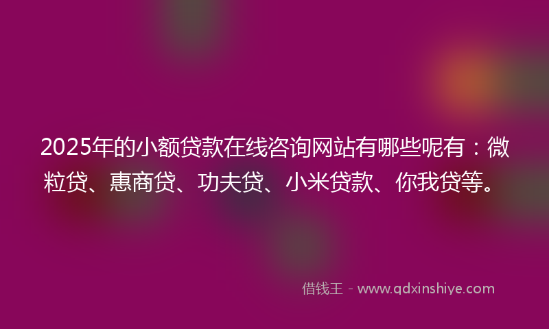 2025年的小额贷款在线咨询网站有哪些呢有：微粒贷、惠商贷、功夫贷、小米贷款、你我贷等。