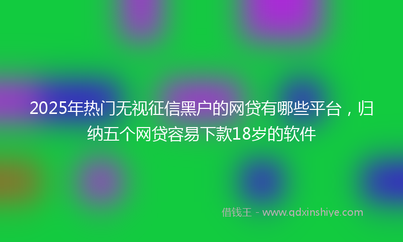 2025年热门无视征信黑户的网贷有哪些平台，归纳五个网贷容易下款18岁的软件