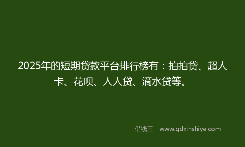 2025年的短期贷款平台排行榜有:拍拍贷、超人卡、花呗、人人贷、滴水贷等。
