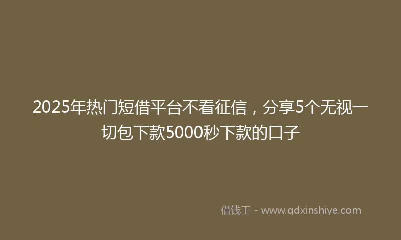 2025年热门短借平台不看征信，分享5个无视一切包下款5000秒下款的口子