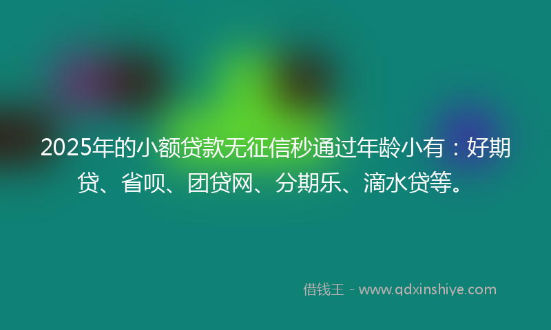 2025年的小额贷款无征信秒通过年龄小有：好期贷、省呗、团贷网、分期乐、滴水贷等。