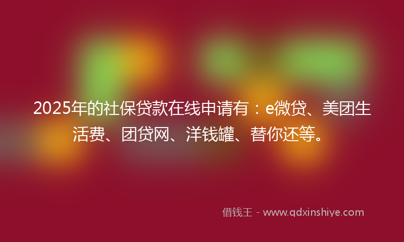 2025年的社保贷款在线申请有：e微贷、美团生活费、团贷网、洋钱罐、替你还等。