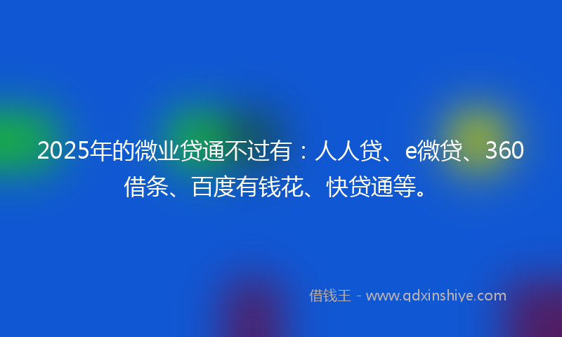 2025年的微业贷通不过有：人人贷、e微贷、360借条、百度有钱花、快贷通等。