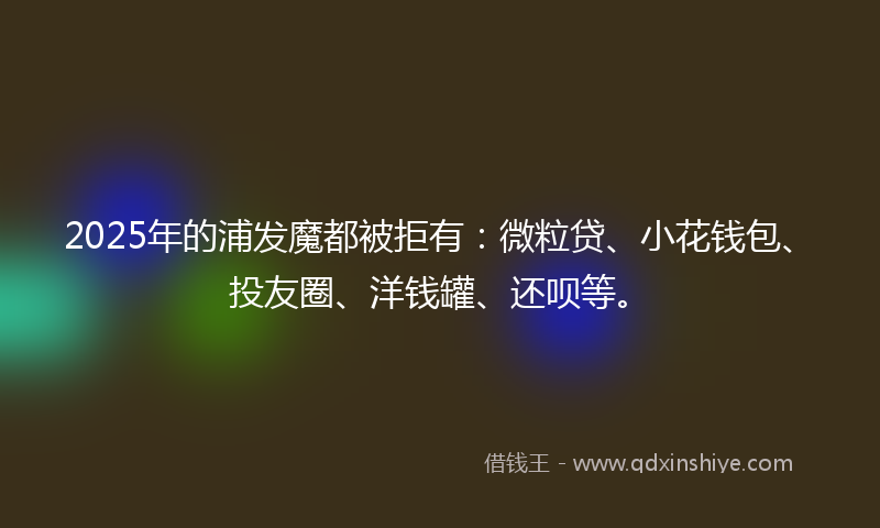 2025年的浦发魔都被拒有：微粒贷、小花钱包、投友圈、洋钱罐、还呗等。