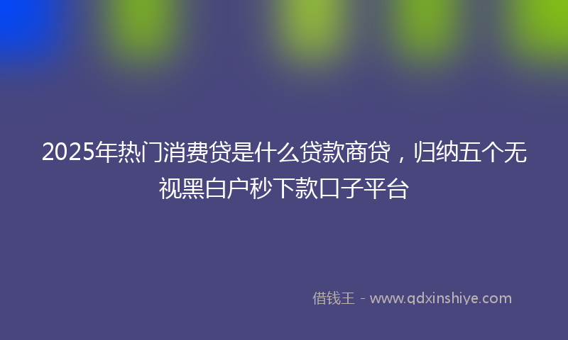 2025年热门消费贷是什么贷款商贷，归纳五个无视黑白户秒下款口子平台