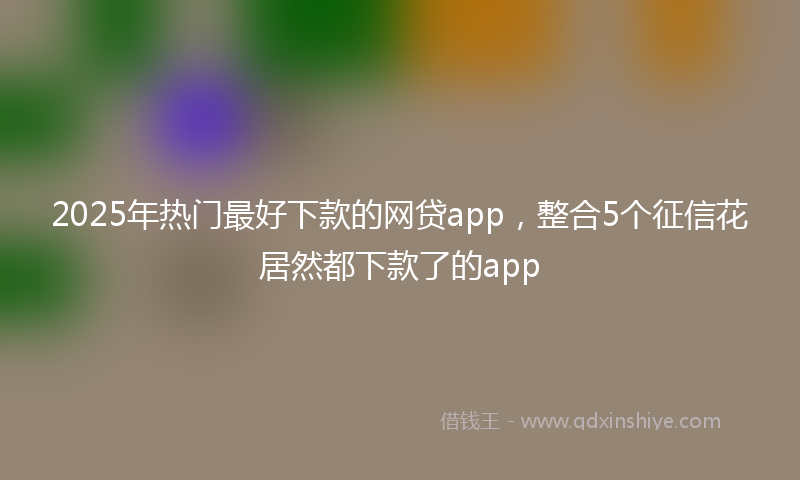 2025年热门最好下款的网贷app，整合5个征信花居然都下款了的app