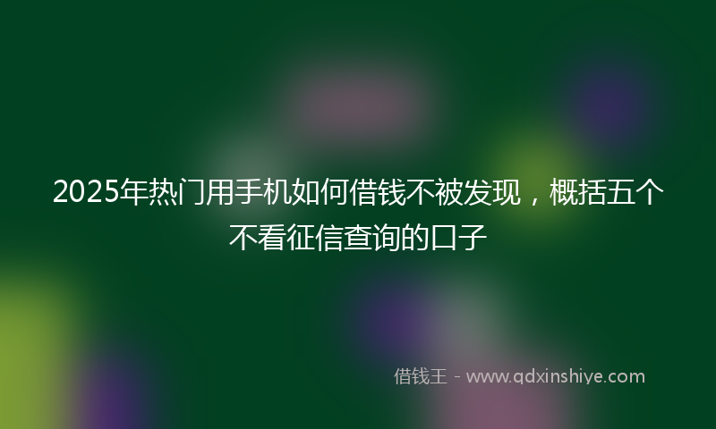 2025年热门用手机如何借钱不被发现，概括五个不看征信查询的口子