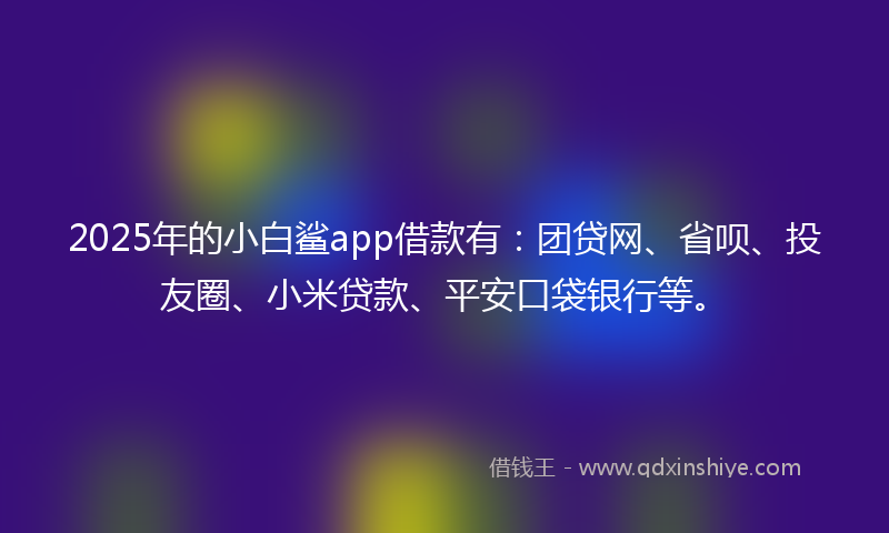 2025年的小白鲨app借款有：团贷网、省呗、投友圈、小米贷款、平安口袋银行等。