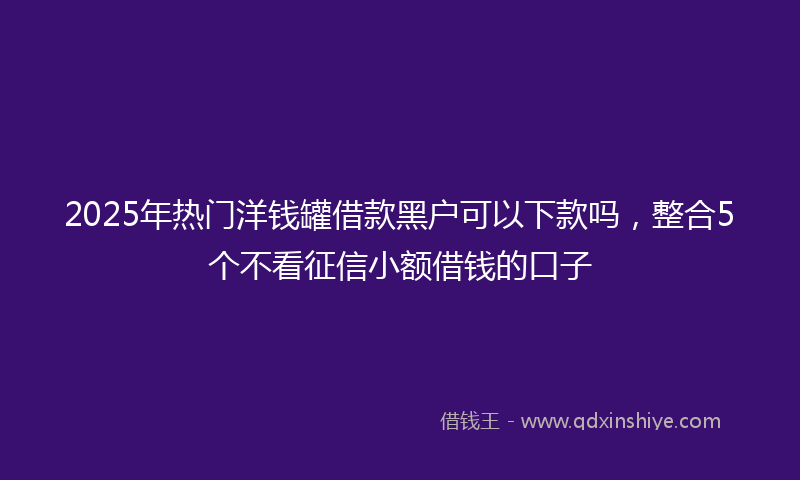 2025年热门洋钱罐借款黑户可以下款吗，整合5个不看征信小额借钱的口子