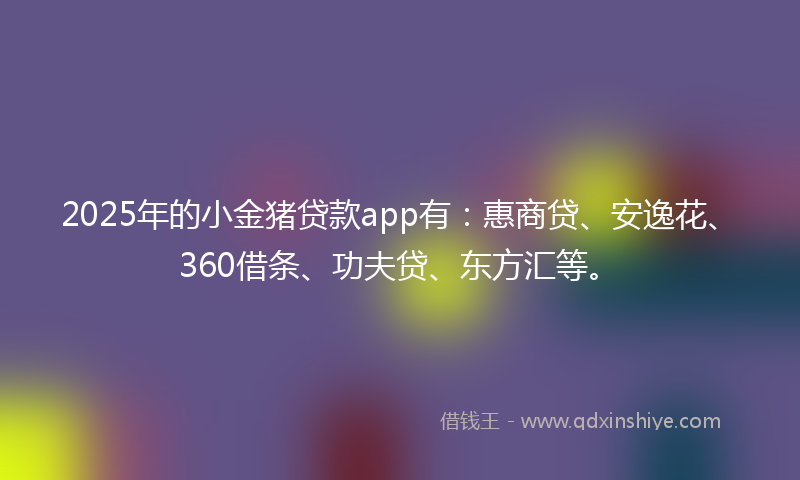 2025年的小金猪贷款app有：惠商贷、安逸花、360借条、功夫贷、东方汇等。