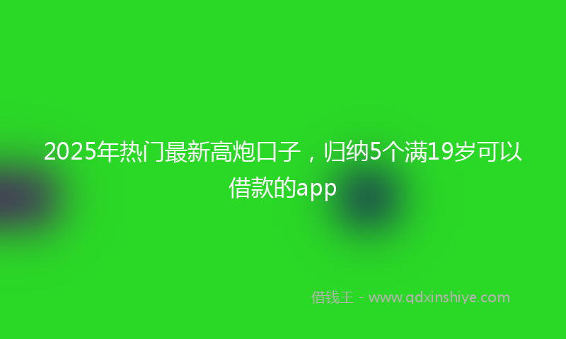 2025年热门最新高炮口子，归纳5个满19岁可以借款的app