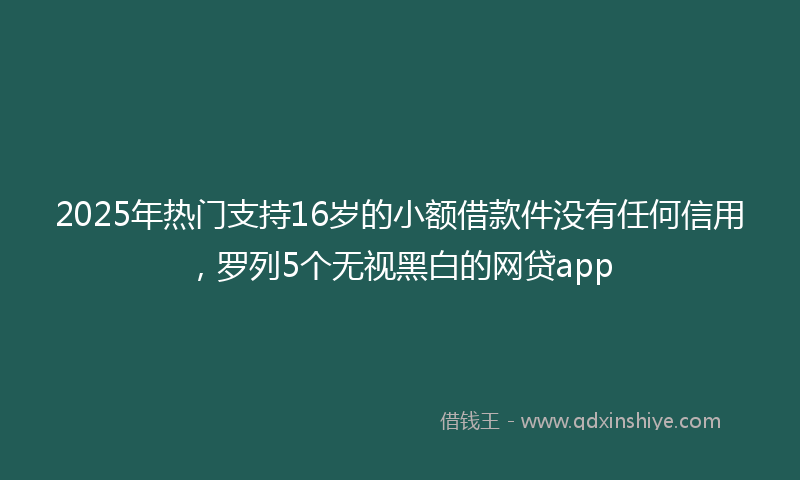 2025年热门支持16岁的小额借款件没有任何信用，罗列5个无视黑白的网贷app