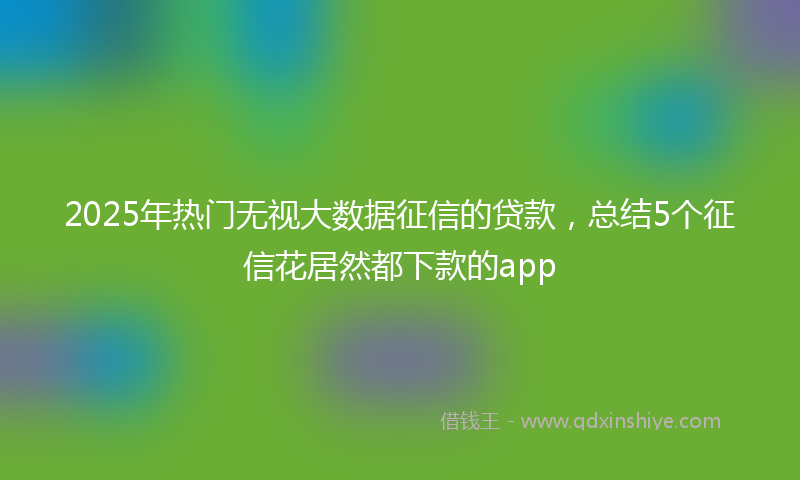 2025年热门无视大数据征信的贷款，总结5个征信花居然都下款的app