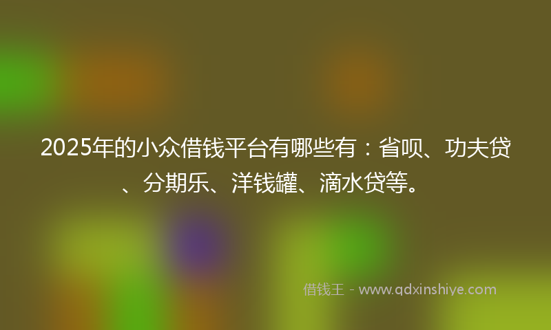 2025年的小众借钱平台有哪些有：省呗、功夫贷、分期乐、洋钱罐、滴水贷等。