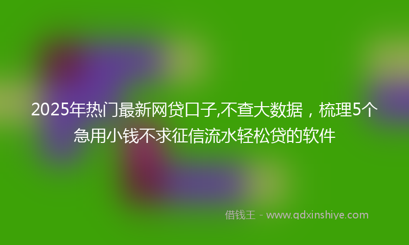 2025年热门最新网贷口子,不查大数据，梳理5个急用小钱不求征信流水轻松贷的软件