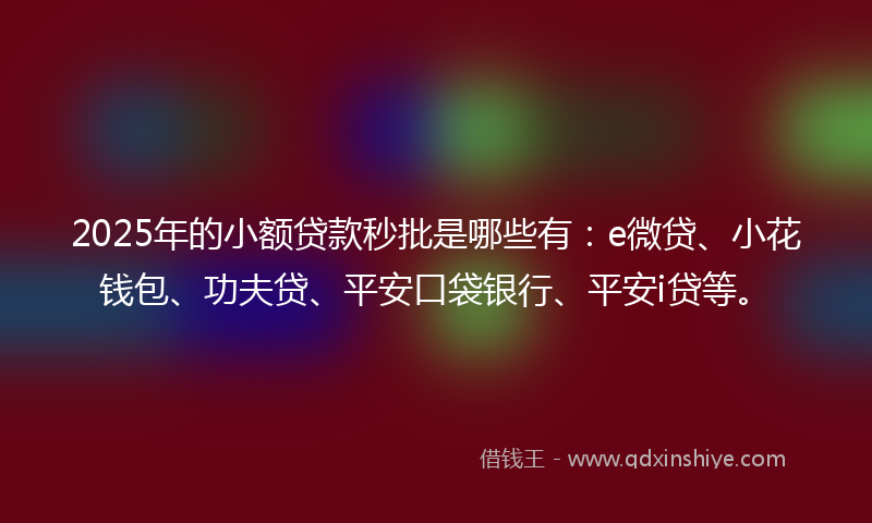 2025年的小额贷款秒批是哪些有：e微贷、小花钱包、功夫贷、平安口袋银行、平安i贷等。