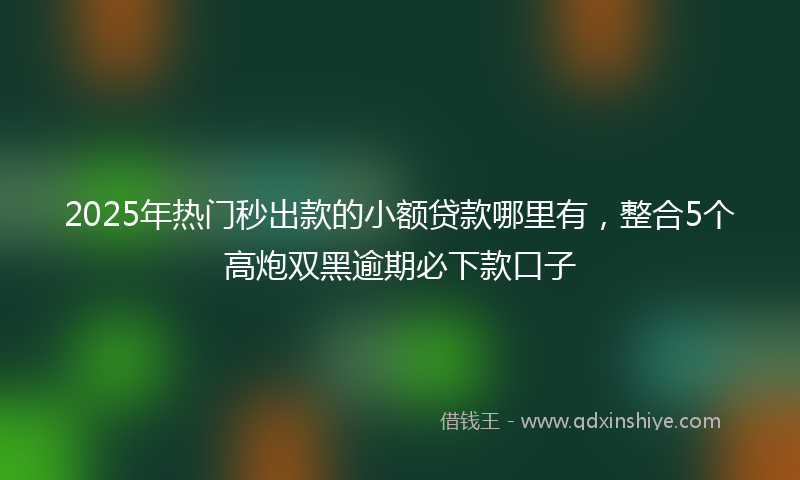 2025年热门秒出款的小额贷款哪里有，整合5个高炮双黑逾期必下款口子
