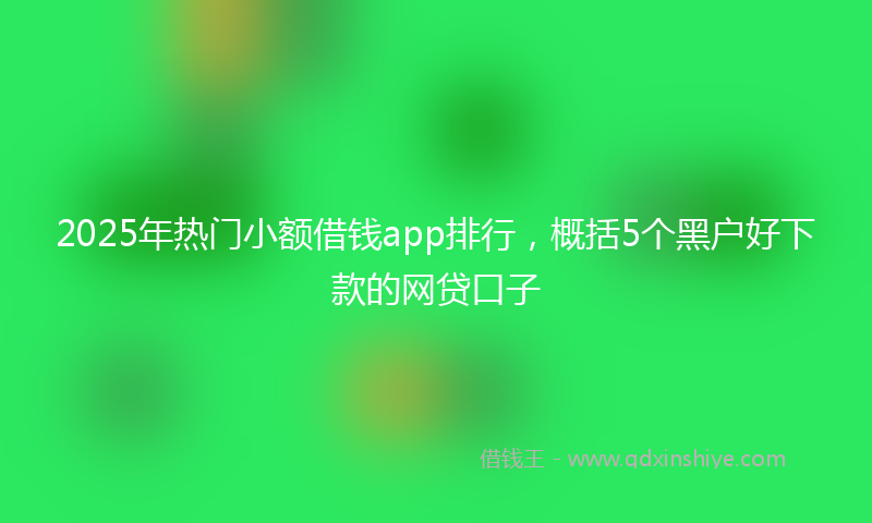 2025年热门小额借钱app排行，概括5个黑户好下款的网贷口子
