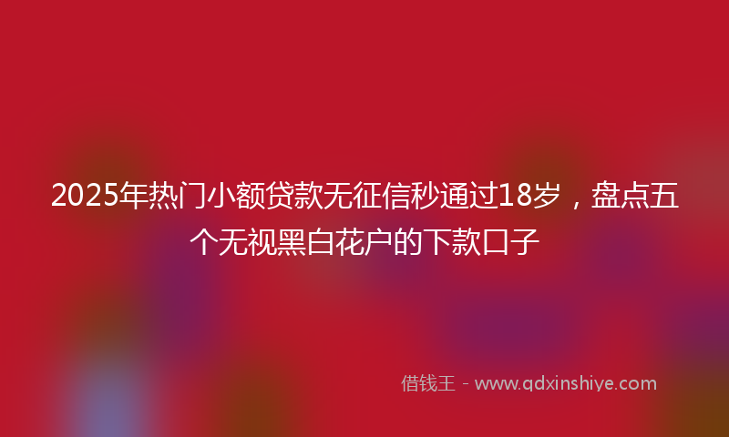 2025年热门小额贷款无征信秒通过18岁，盘点五个无视黑白花户的下款口子